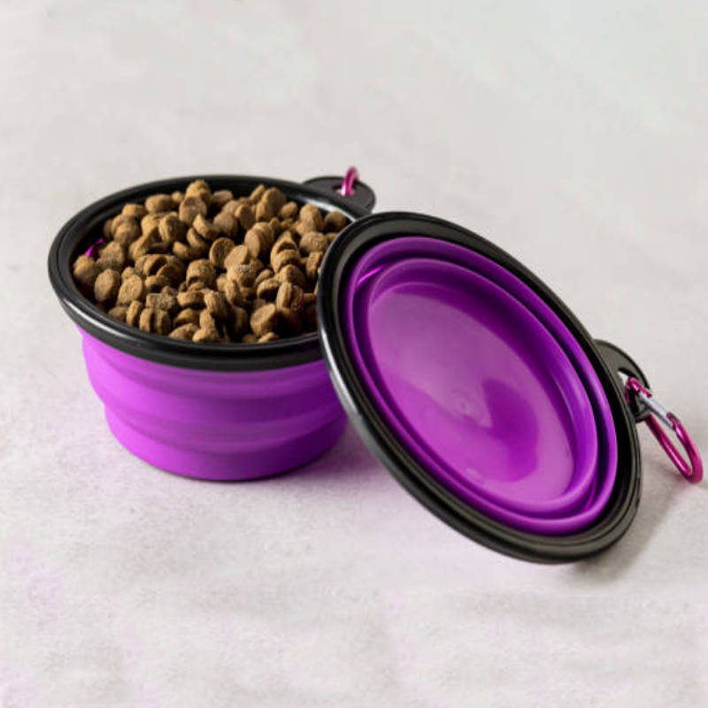 pet4