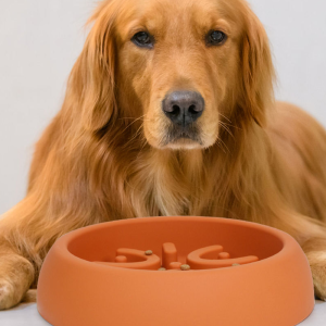 Custom Silicone Dog Bowls for Food Slow Pet Feeding2