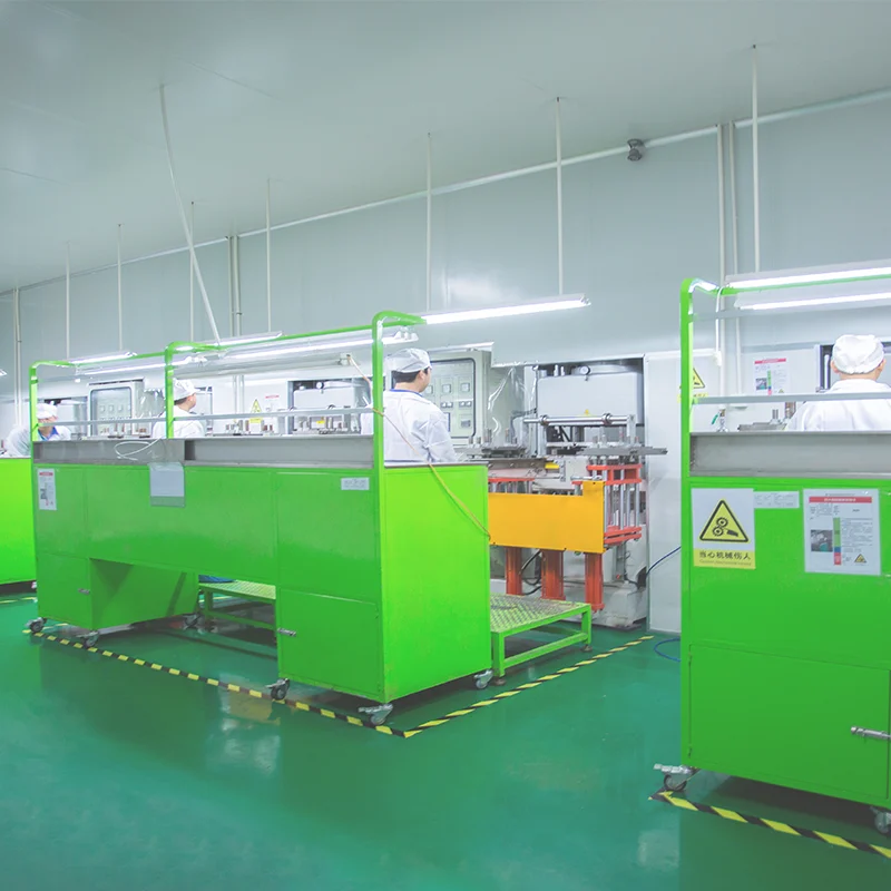 silicone compression molding